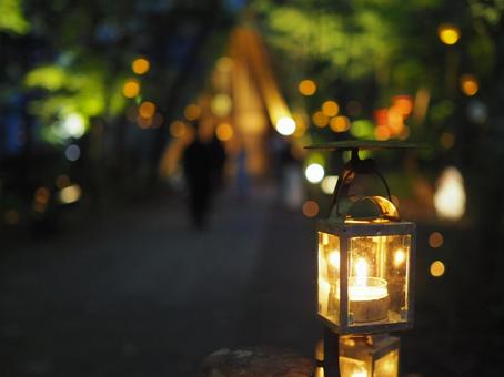 軽井沢のライトアップ 軽井沢,長野,ライトアップの写真素材