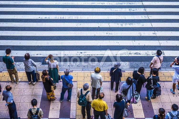 横断歩道と歩行する人々 大阪,大阪駅,大阪府の写真素材