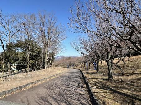 桐生の公園 桐生市南公園,公園,散歩の写真素材