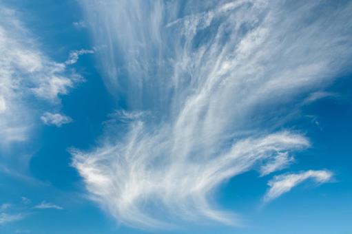 秋の空1 秋の空1 晴れた空,秋の空,秋空の写真素材