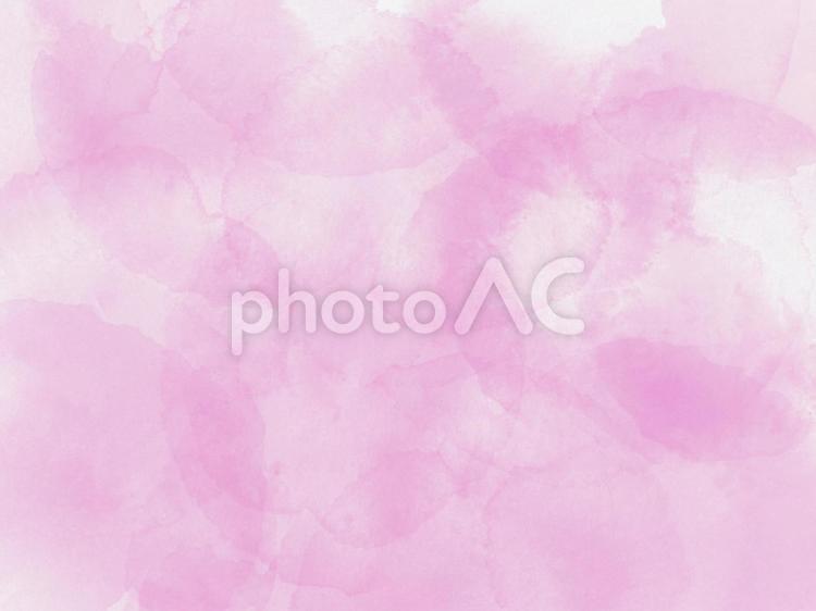 桜のようなピンクの水彩背景 水彩,水彩画,背景の写真素材