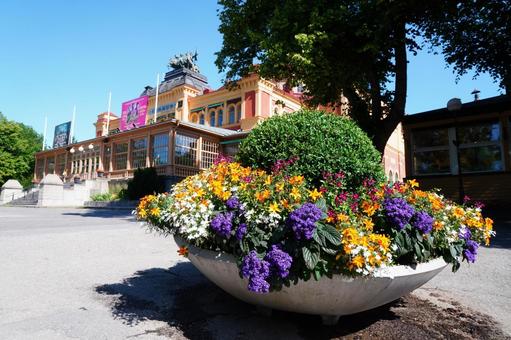 Sweden summer flower landscape, JPG Sweden summer flower landscape, JPG