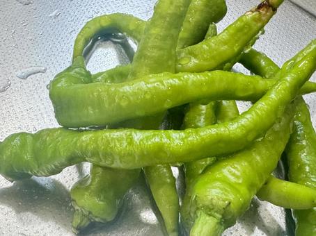 Photo, vegetables, summer vegetables, shishito, 