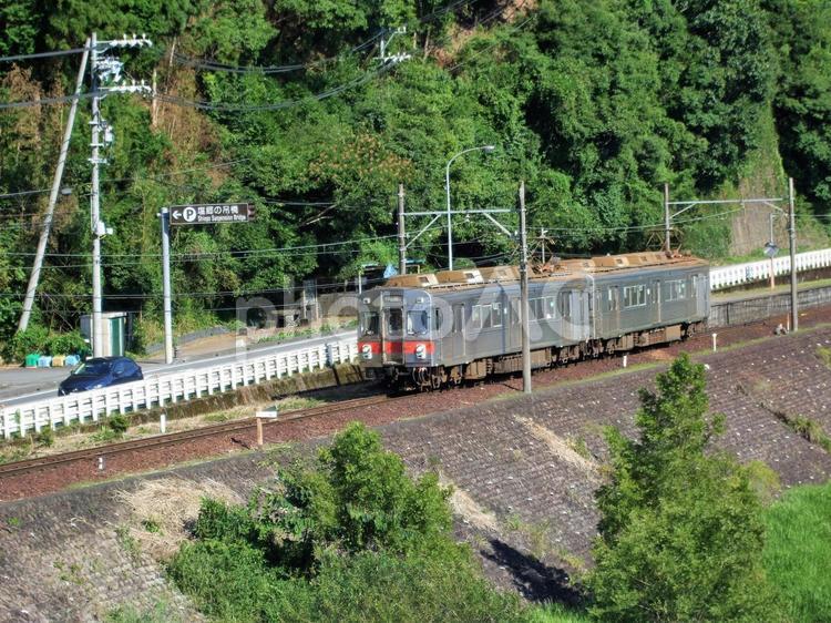 車と並走する大井川鉄道列車 鉄道,列車,走るの写真素材