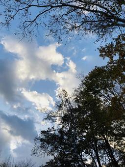 秋の空 秋の空の写真