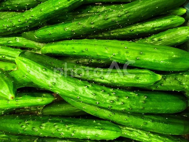 新鮮で鮮やかな緑色のきゅうりのイメージ素材 きゅうり,キュウリ,野菜の写真素材