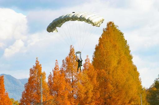 紅葉の中へ降下する陸上自衛隊の空挺隊員 陸上自衛隊,自衛隊,ミリタリーの写真素材