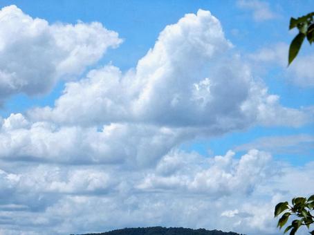 【空の写真】夏空 【空の写真】夏空の写真