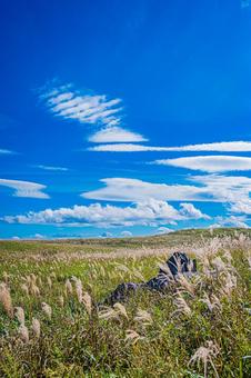 四国地方　四国カルスト台地の風景 カルスト台地,四国,四国地方の写真素材