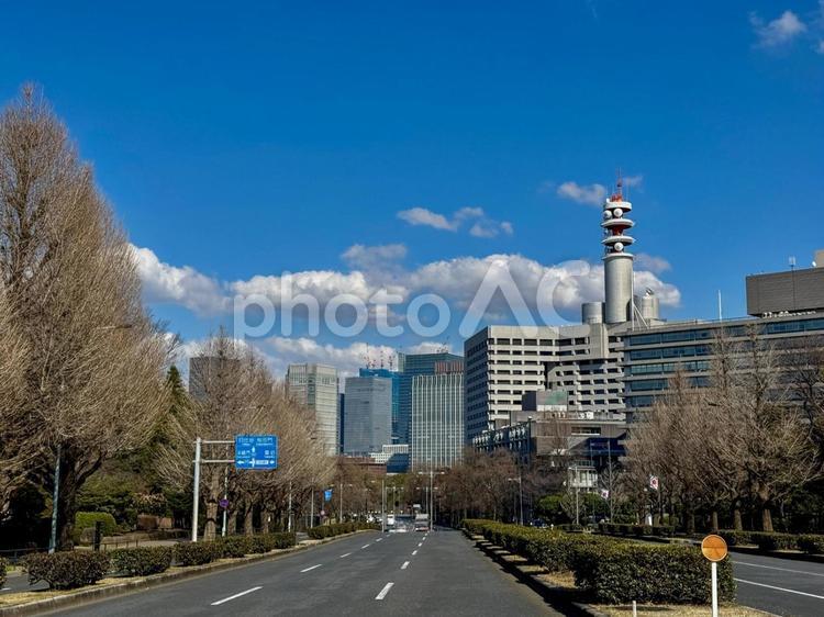 議事堂前銀杏並木　桜田門方面へ 永田町,議事堂前銀杏並木,道路の写真素材