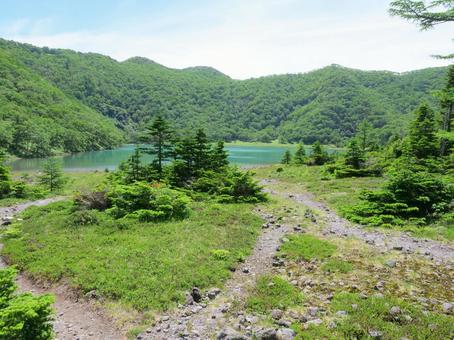 五色沼湖畔に続く散策路 五色沼湖畔に続く散策路の写真