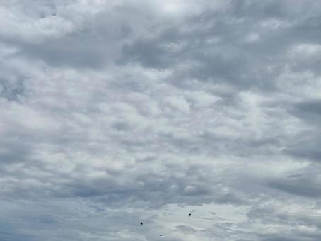 曇り空に鳥が3羽飛んでいる 曇り空に鳥が3羽飛んでいるの写真