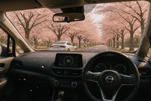 車内から見える桜並木の春景色 車内から見える桜並木の春景色の写真