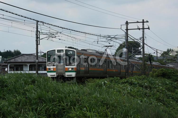 芝生と鉄道の写真（信越本線） 鉄道,電車,車両の写真素材