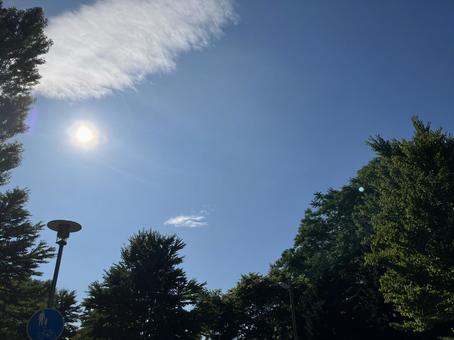 Photo, sky, summer, cloud, 