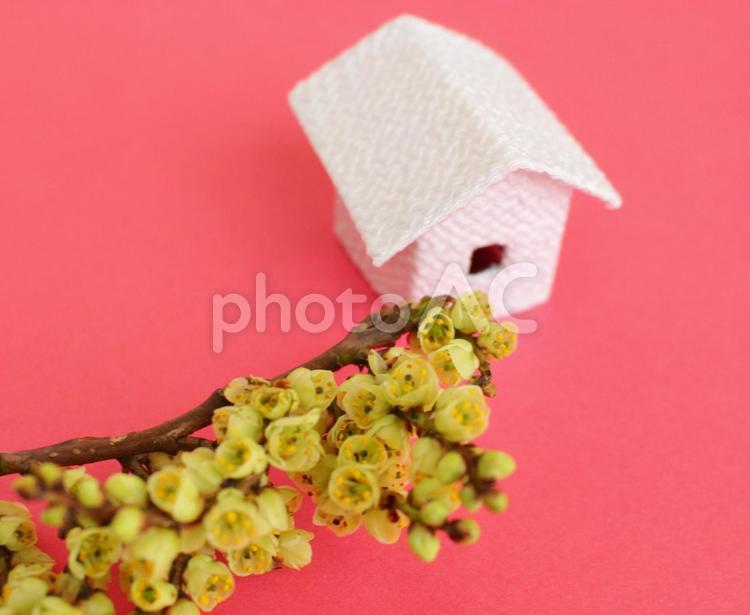 ちりめんの白い家と木に咲く小さなかわいい花々 花,家,赤の写真素材