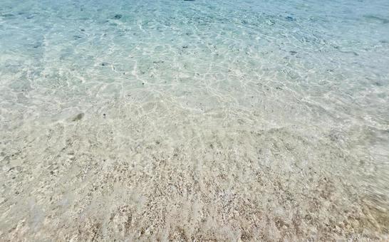 海と白い浜辺 海と白い浜辺の写真