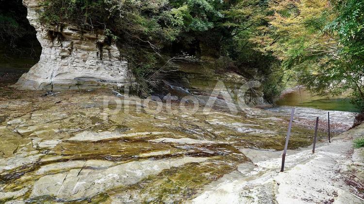 千葉県大多喜町養老渓谷　紅葉の粟又の滝 紅葉,粟又の滝,養老渓谷の写真素材