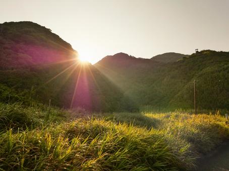 夕暮れの山 夕暮れの山 伊豆,山,自然の写真素材