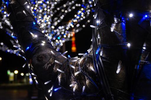 クリスマスのイルミネーション クリスマス,イルミネーション,ライトアップの写真素材