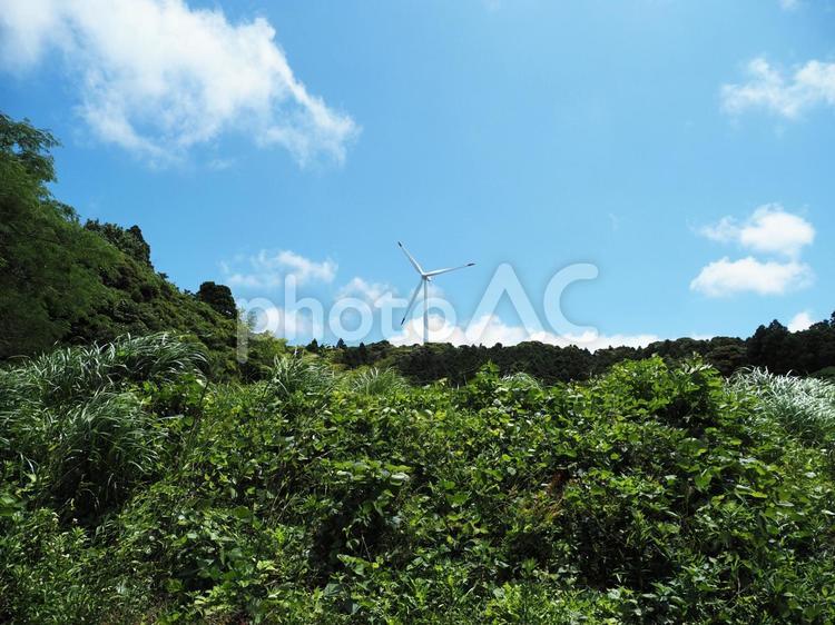 青空と夏草と風力発電 青空,青い,風景の写真素材