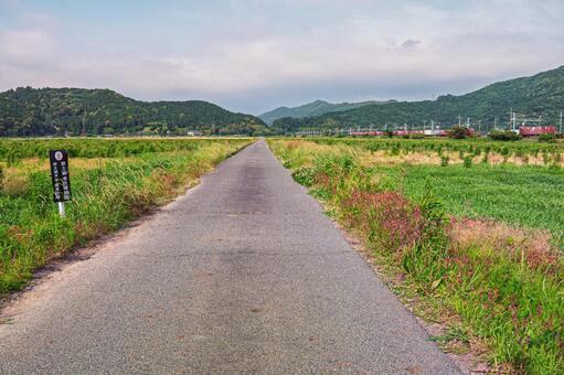 安土城跡への道 滋賀,安土山,歴史の写真素材