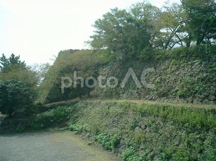 日出城天守台石垣 日出城,日出城石垣,日出城天守台石垣の写真素材