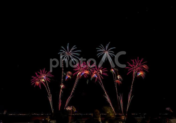 習志野花火大会2024年（1日目） 習志野花火大会,花火,fireworksの写真素材
