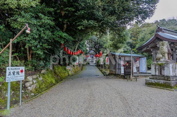 気多大社周辺の景色 気多大社,狛犬,砂利道の写真素材