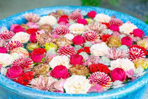 色鮮やかな花手水 花,フラワー,色鮮やかの写真素材