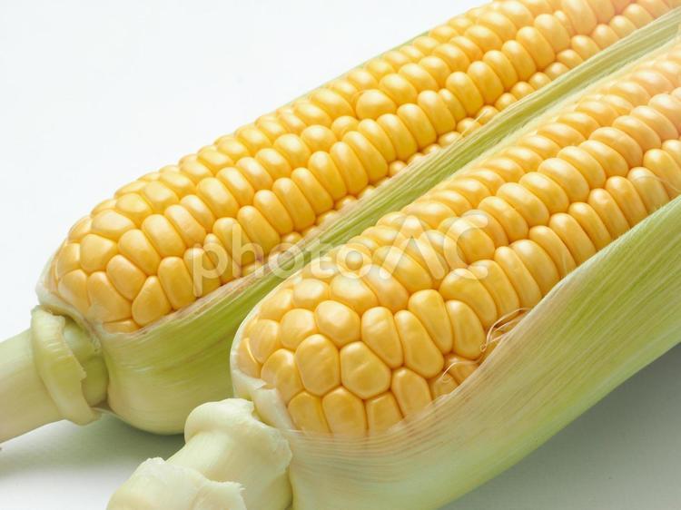 とうもろこし とうもろこし,白バック,夏野菜の写真素材