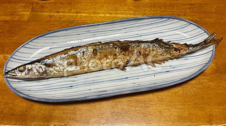焼き魚　さんま さんま,秋刀魚,旬の魚の写真素材