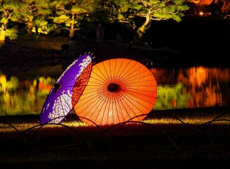 岡山後楽園のライトアップされた和傘 和傘,岡山後楽園,秋の幻想庭園の写真素材