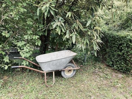 庭に置かれた一輪車 一輪車,手押し車,ネコ車の写真素材