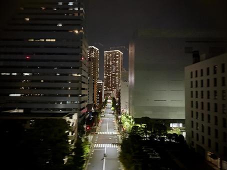 夜のゆりかもめからの景色 街,キラキラ,ネオンの写真素材