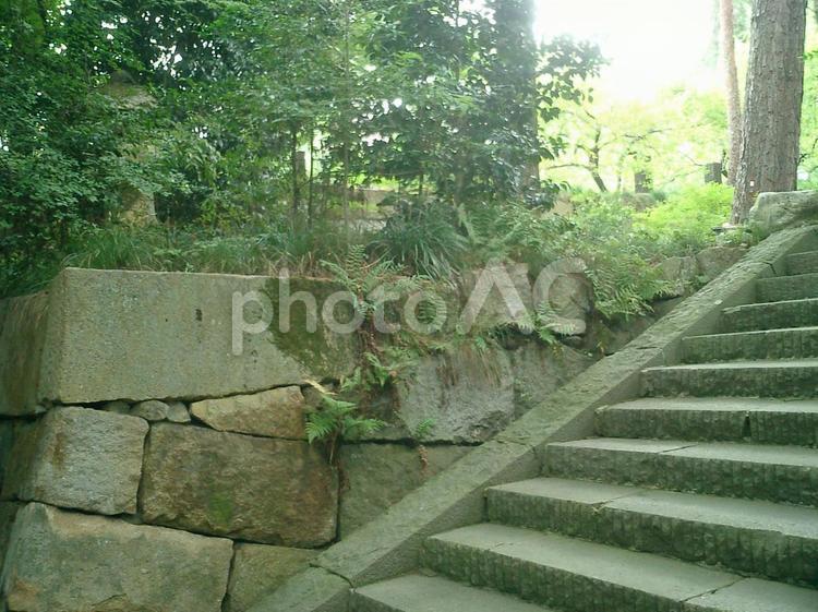 丹波亀山城の石垣 丹波亀山城の石垣,丹波亀山城石垣,丹波亀山城の本丸の写真素材