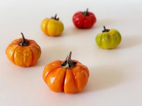 ミニカボチャ ミニカボチャ カボチャ,ミニ,カラフルの写真素材