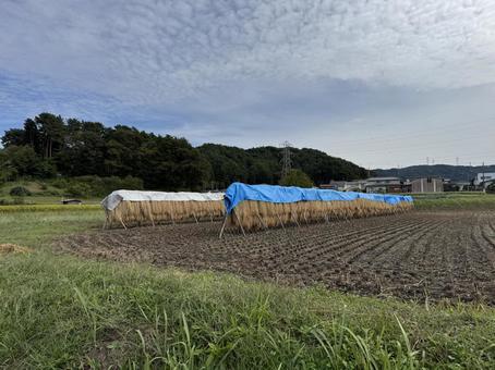 天日干し(長野県塩尻市) 天日干し(長野県塩尻市)の写真