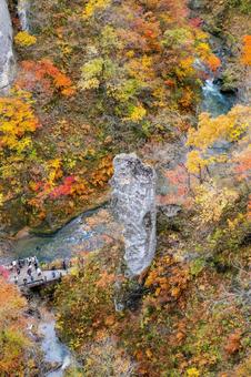 鳴子峡の秋-Vol.4(37) 渓谷,峡谷,鳴子峡の写真素材