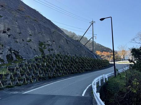 九頭竜ダム手前の道路　秋の山奥 道路,秋,晩秋の写真素材