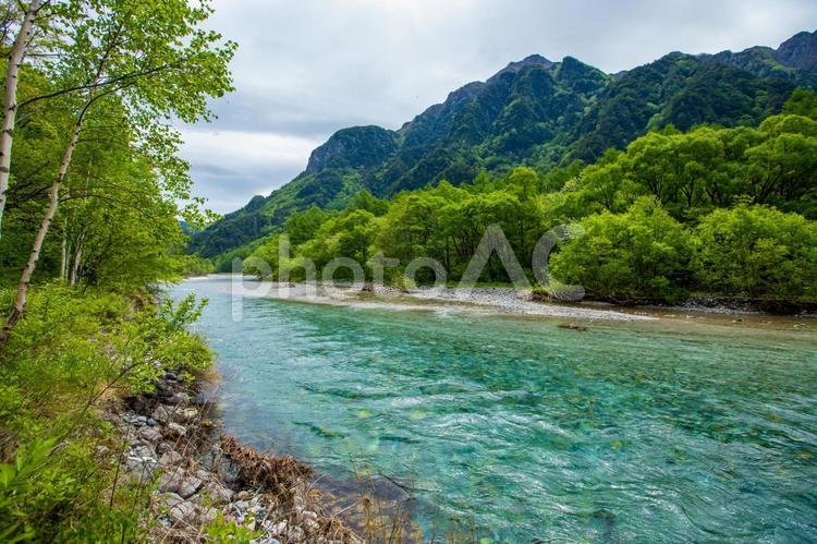 長野県　新緑の上高地　梓川　 上高地,長野,自然の写真素材