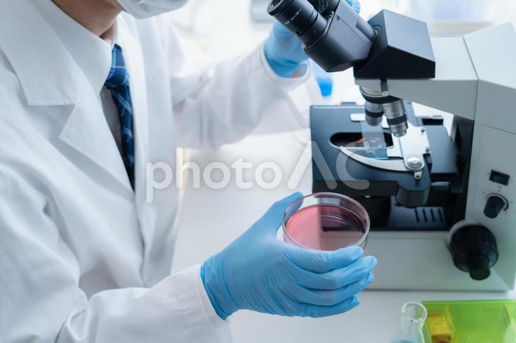 研究所で実験をする研究者 研究,科学,実験の写真素材
