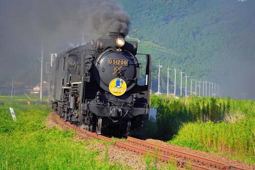黒煙を上げて力強く走るSL山口号D51 黒煙を上げて力強く走るSL山口号D51の写真