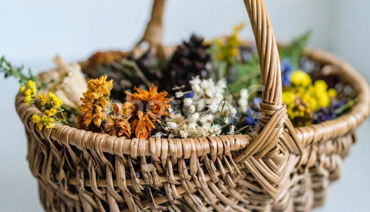 伝統工芸の白樺細工の花籠 白樺細工,白樺樹皮,伝統工芸の写真素材