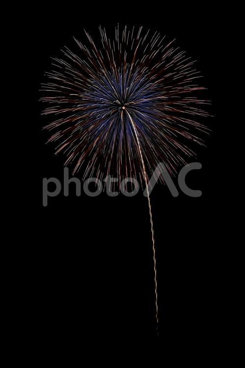 夜空に咲く打ち上げ花火 打ち上げ花火,花火,はなびの写真素材