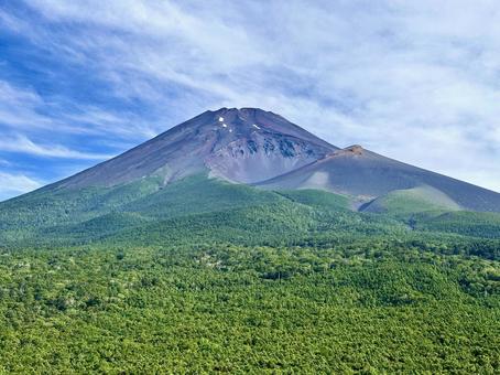 裾野市から見る富士山 裾野市から見る富士山の写真