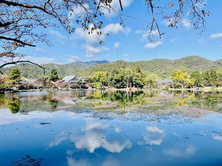 京都の池 京都の池の写真