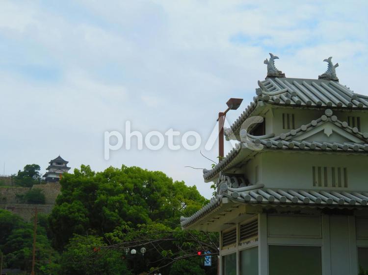 ７月上旬の丸亀城の天守 背景,丸亀城,城の写真素材