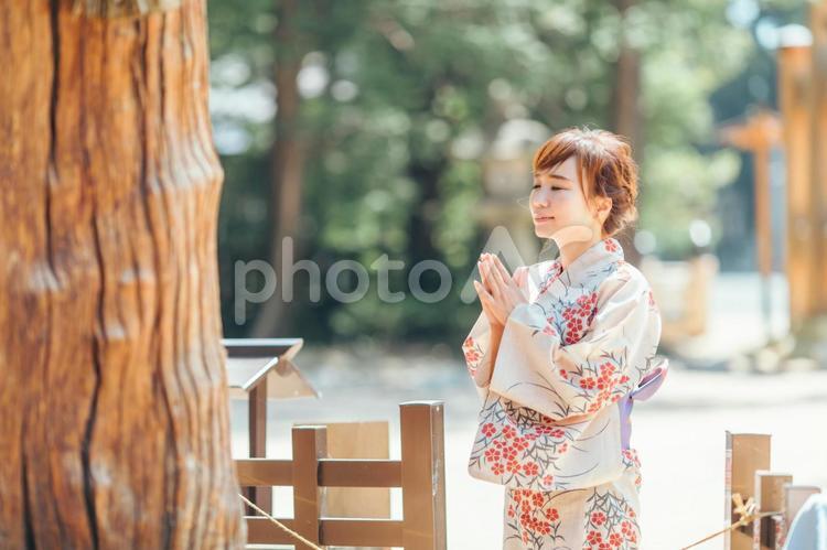 御神木に拝む浴衣を着た女性 ご神木,神社,お参りの写真素材