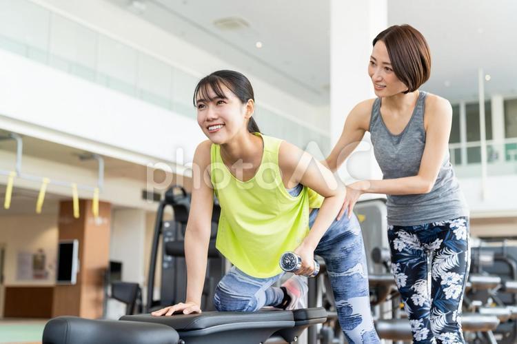 ジムでトレーニングする若い女性 ジム,フィットネス,ボディケアの写真素材